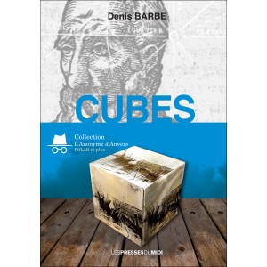 Cubes de Denis BARBE