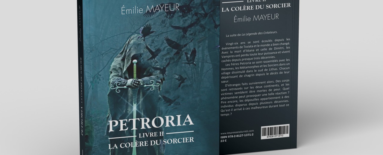 Petroria Livre II - La colère du sorcier d’Émilie MAYEUR